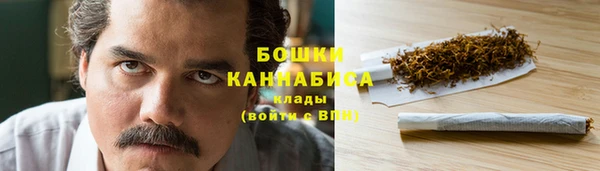 бошки Алексин