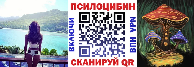omg ссылки  наркотики  Анива  Псилоцибиновые грибы Psilocybine cubensis 